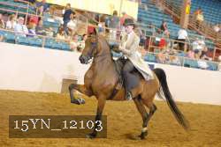 15YN_12103 thumbnail
