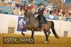 15YN_12105 thumbnail