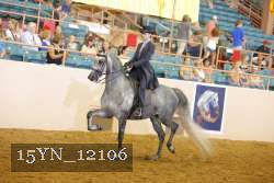 15YN_12106 thumbnail