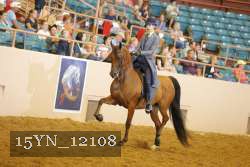 15YN_12108 thumbnail