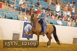 15YN_12109 thumbnail