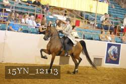 15YN_12113 thumbnail