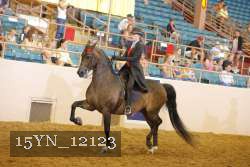 15YN_12123 thumbnail