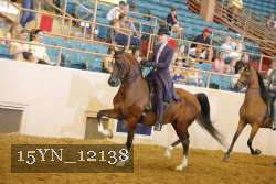 15YN_12138 thumbnail