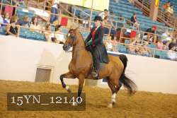 15YN_12140 thumbnail