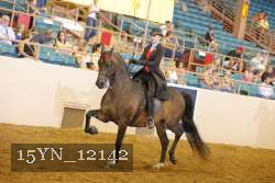 15YN_12142 thumbnail
