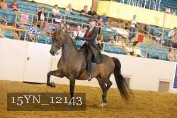 15YN_12143 thumbnail