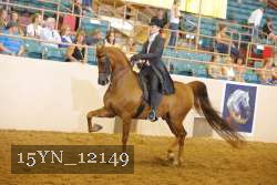 15YN_12149 thumbnail