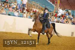 15YN_12151 thumbnail
