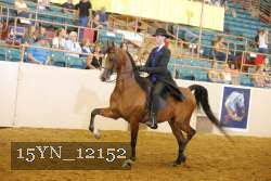 15YN_12152 thumbnail
