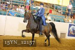 15YN_12157 thumbnail