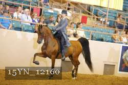 15YN_12160 thumbnail