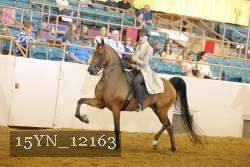 15YN_12163 thumbnail