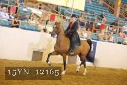 15YN_12165 thumbnail