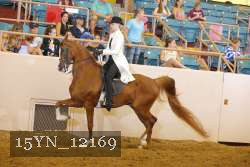 15YN_12169 thumbnail