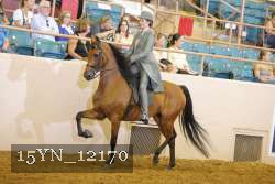 15YN_12170 thumbnail