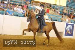 15YN_12173 thumbnail