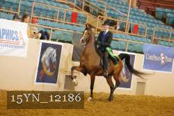 15YN_12186 thumbnail