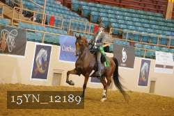 15YN_12189 thumbnail