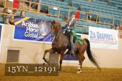 15YN_12191 thumbnail