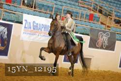 15YN_12195 thumbnail