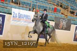 15YN_12197 thumbnail