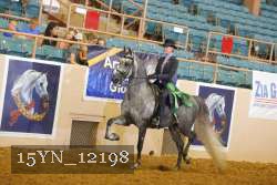 15YN_12198 thumbnail