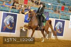 15YN_12202 thumbnail