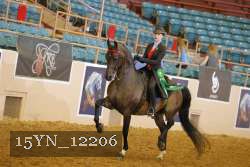 15YN_12206 thumbnail