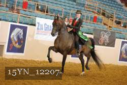 15YN_12207 thumbnail