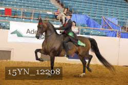 15YN_12208 thumbnail