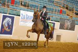 15YN_12210 thumbnail
