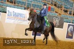 15YN_12214 thumbnail
