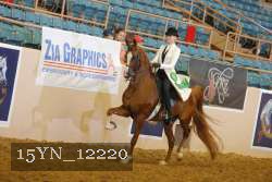 15YN_12220 thumbnail