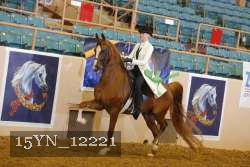 15YN_12221 thumbnail