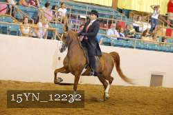 15YN_12232 thumbnail