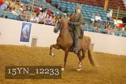 15YN_12233 thumbnail