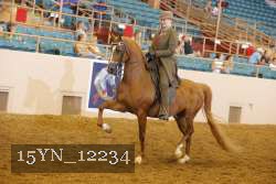 15YN_12234 thumbnail