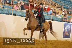 15YN_12235 thumbnail