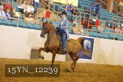 15YN_12239 thumbnail