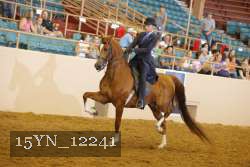 15YN_12241 thumbnail