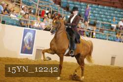 15YN_12242 thumbnail