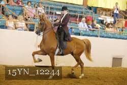15YN_12244 thumbnail