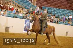 15YN_12246 thumbnail