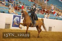 15YN_12249 thumbnail