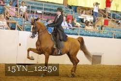 15YN_12250 thumbnail