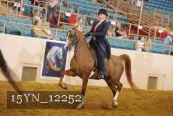 15YN_12252 thumbnail