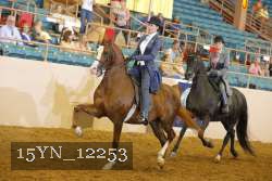 15YN_12253 thumbnail