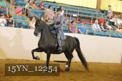 15YN_12254 thumbnail