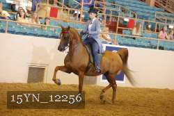 15YN_12256 thumbnail